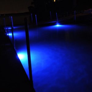 Dock Lights
